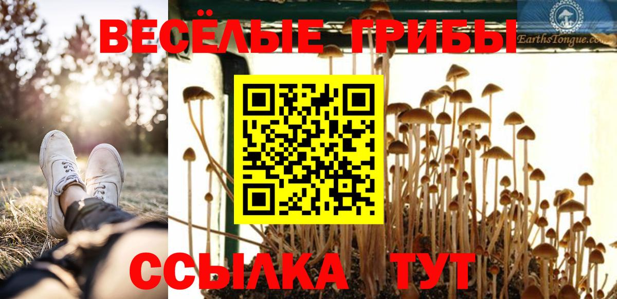 Учалы  Галлюциногенные грибы ЛСД  Галлюциногенные грибы Cubensis  Вход с VPN 