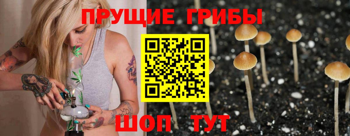 Псилоцибиновые грибы MAGIC MUSHROOMS Учалы